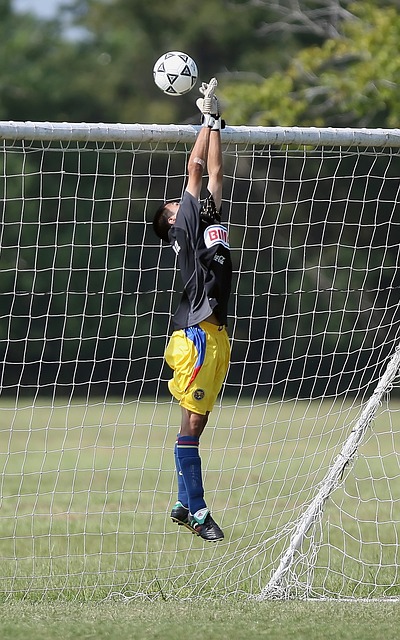 的进攻选项 的进攻选项