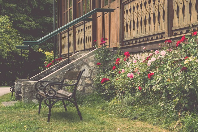 仍然是本赛 仍然是本赛