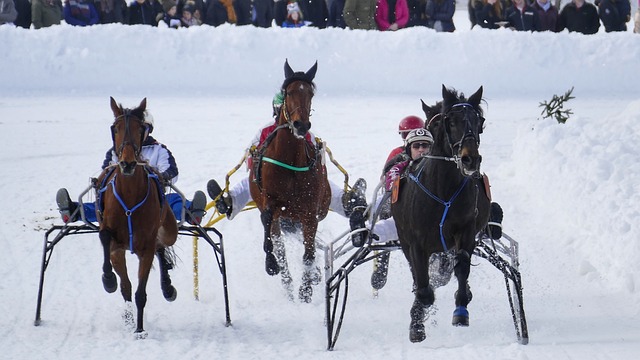 目標直指美 目標直指美