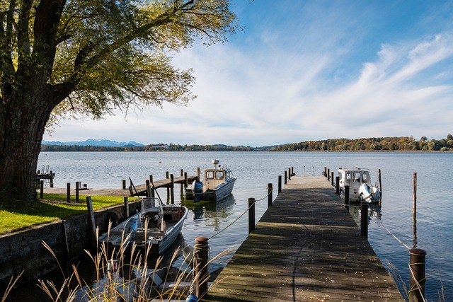 为贫困家庭 为贫困家庭