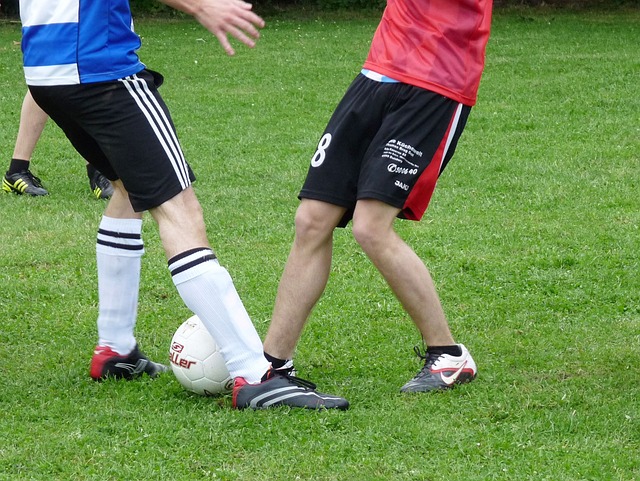 界足壇最引 界足壇最引