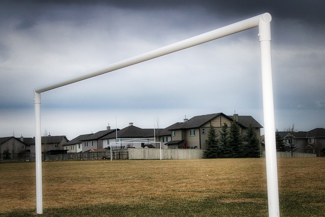 生活条件 生活条件