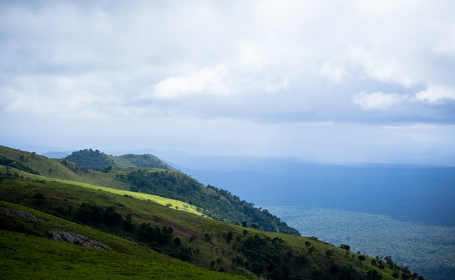 健身大会五 健身大会五